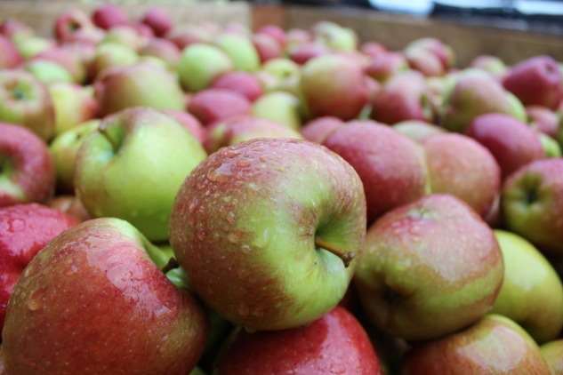 Enjoy the taste of Kentish apples