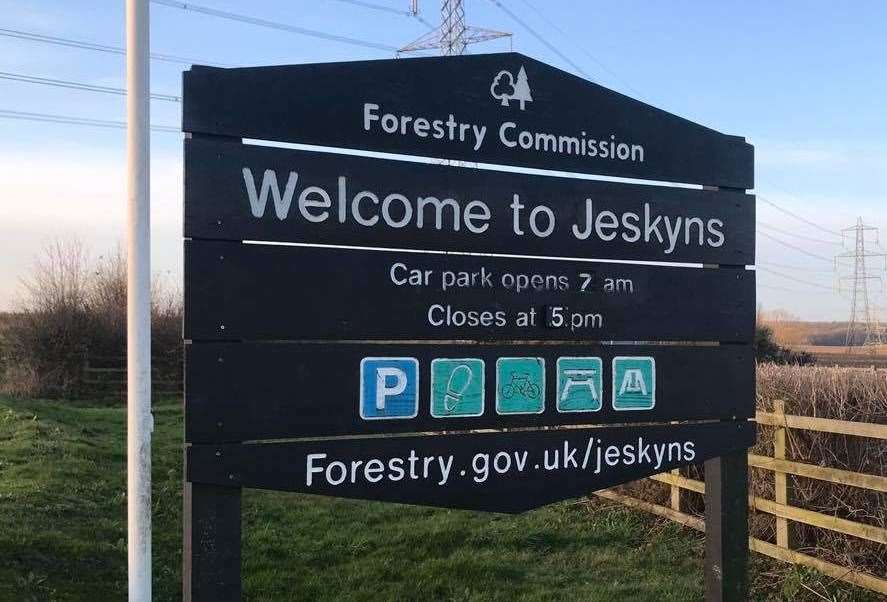 Jeskyns Community Woodland. Stock Image