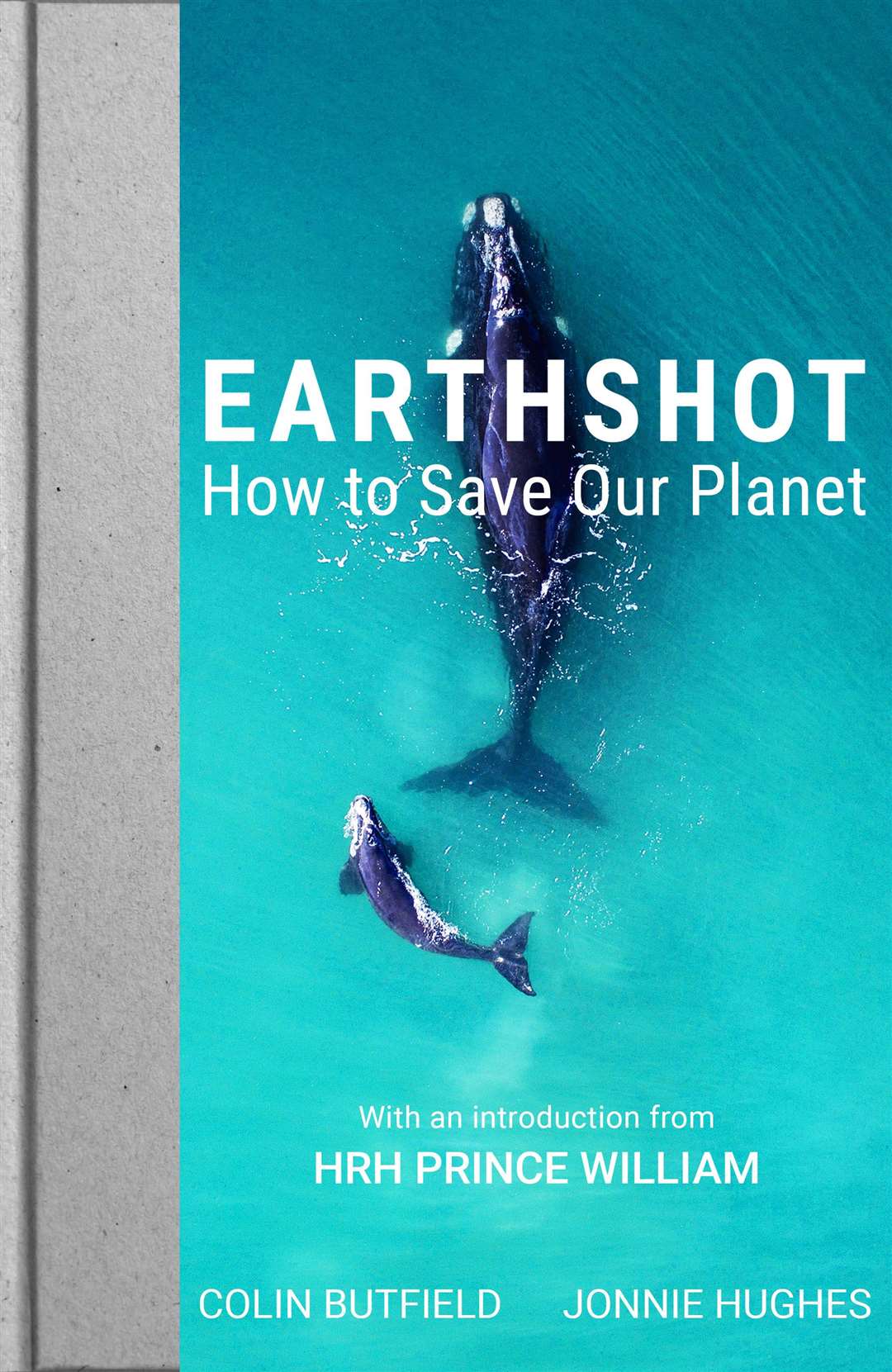 The Earthshot book (John Murray/PA)