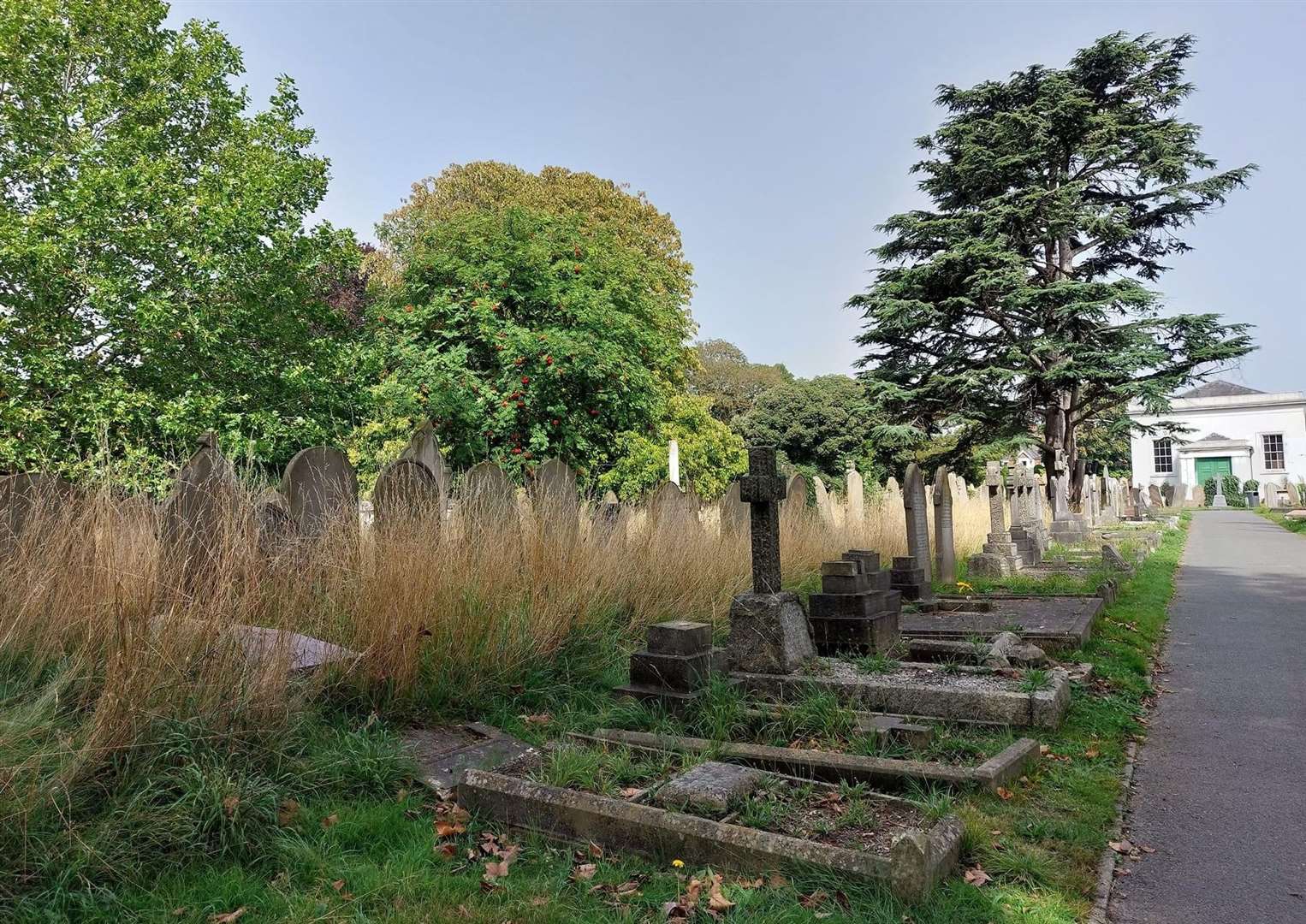 One mother is forced to take scissors to cut around her son's grave