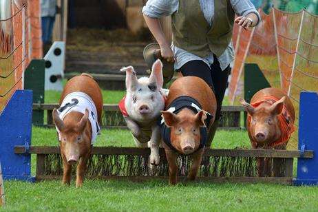 The Kent County Show has more than 150 activities this year