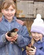 Amy and Lucy Pearton with the hens