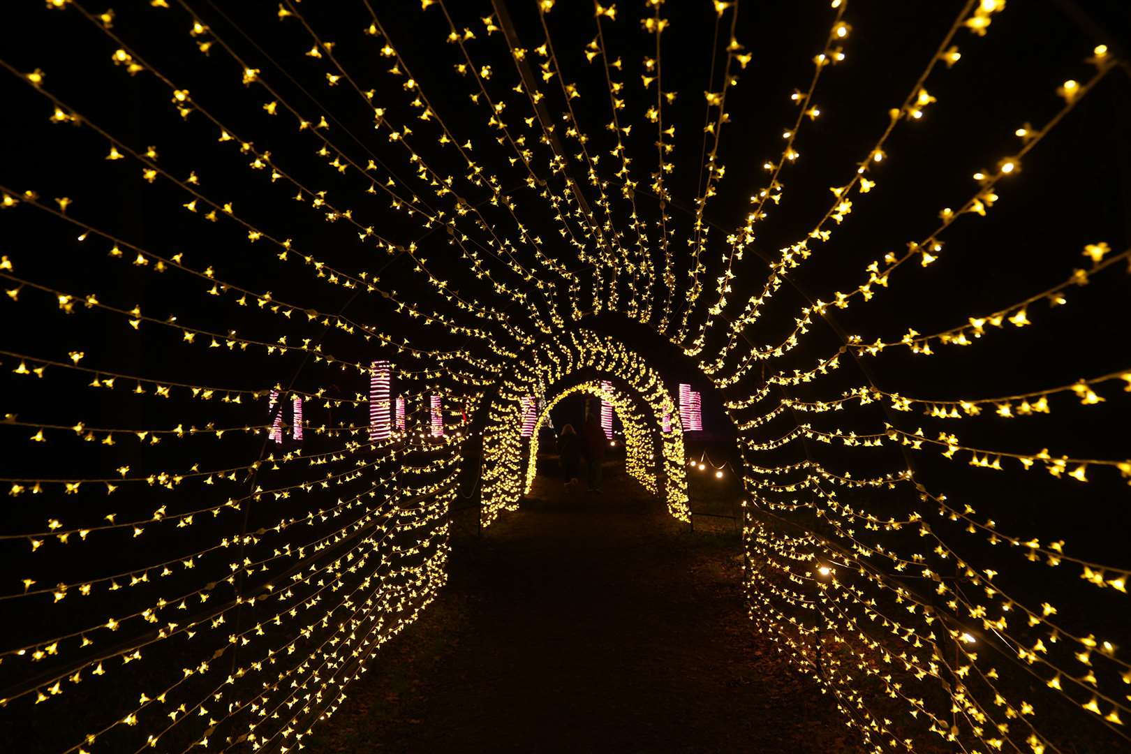 Luminate Sandringham includes a tunnel of fairy lights (Joe Giddens/PA)