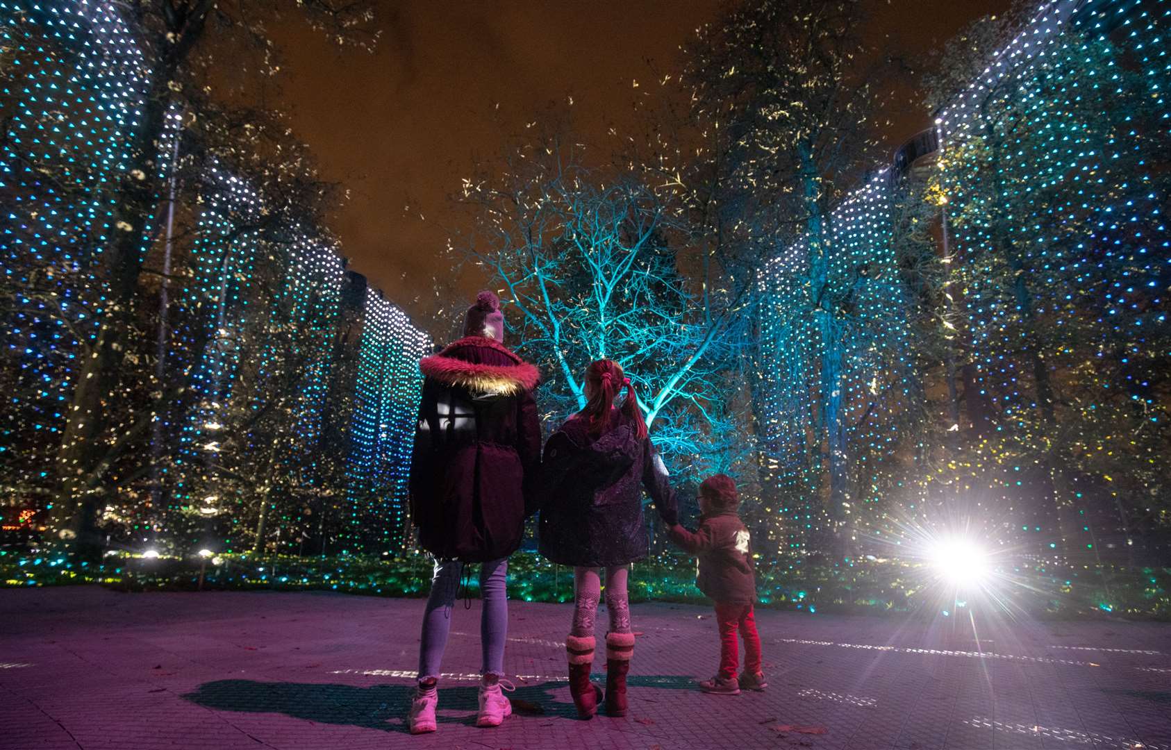 Waterfalls consists of four spiralling columns of light cascading from the Treetop walkway (Andrew Matthews/PA)