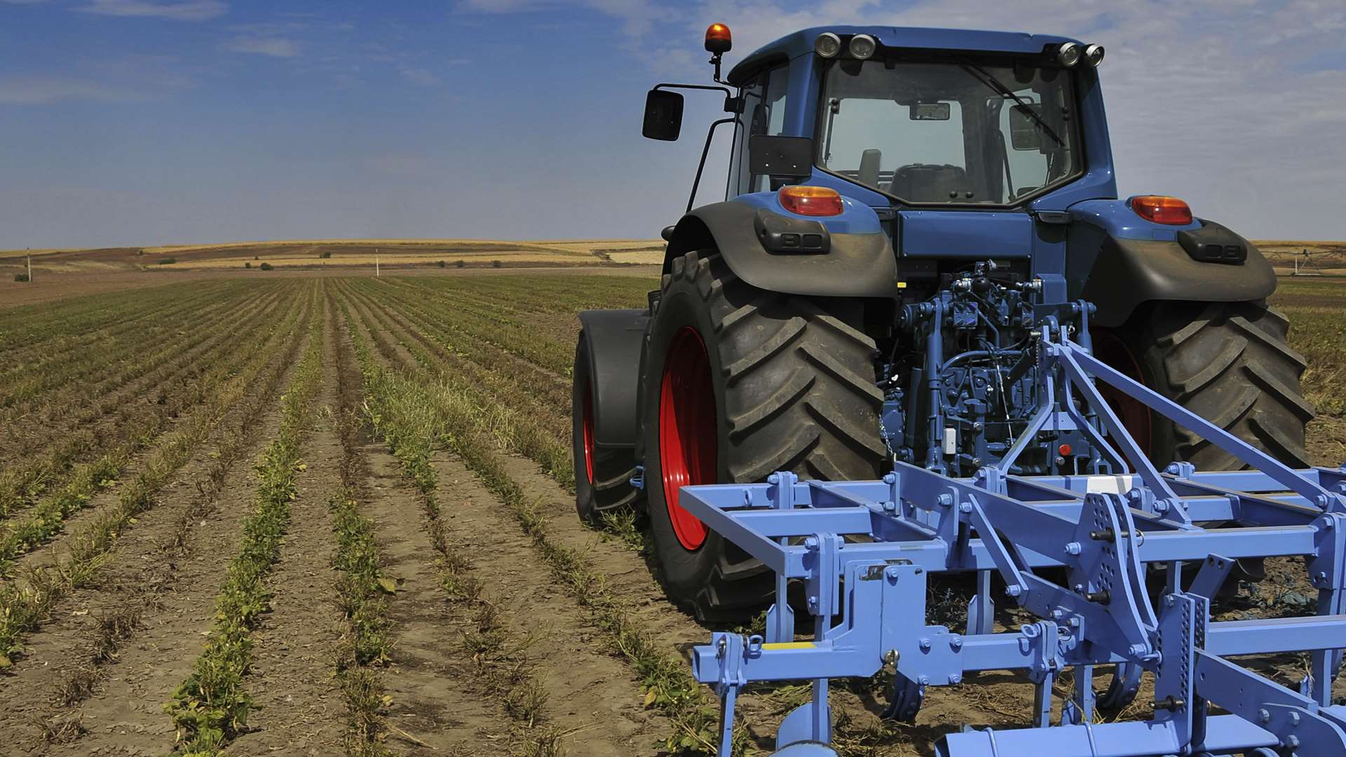 Farmers in Kent have mixed views on Brexit