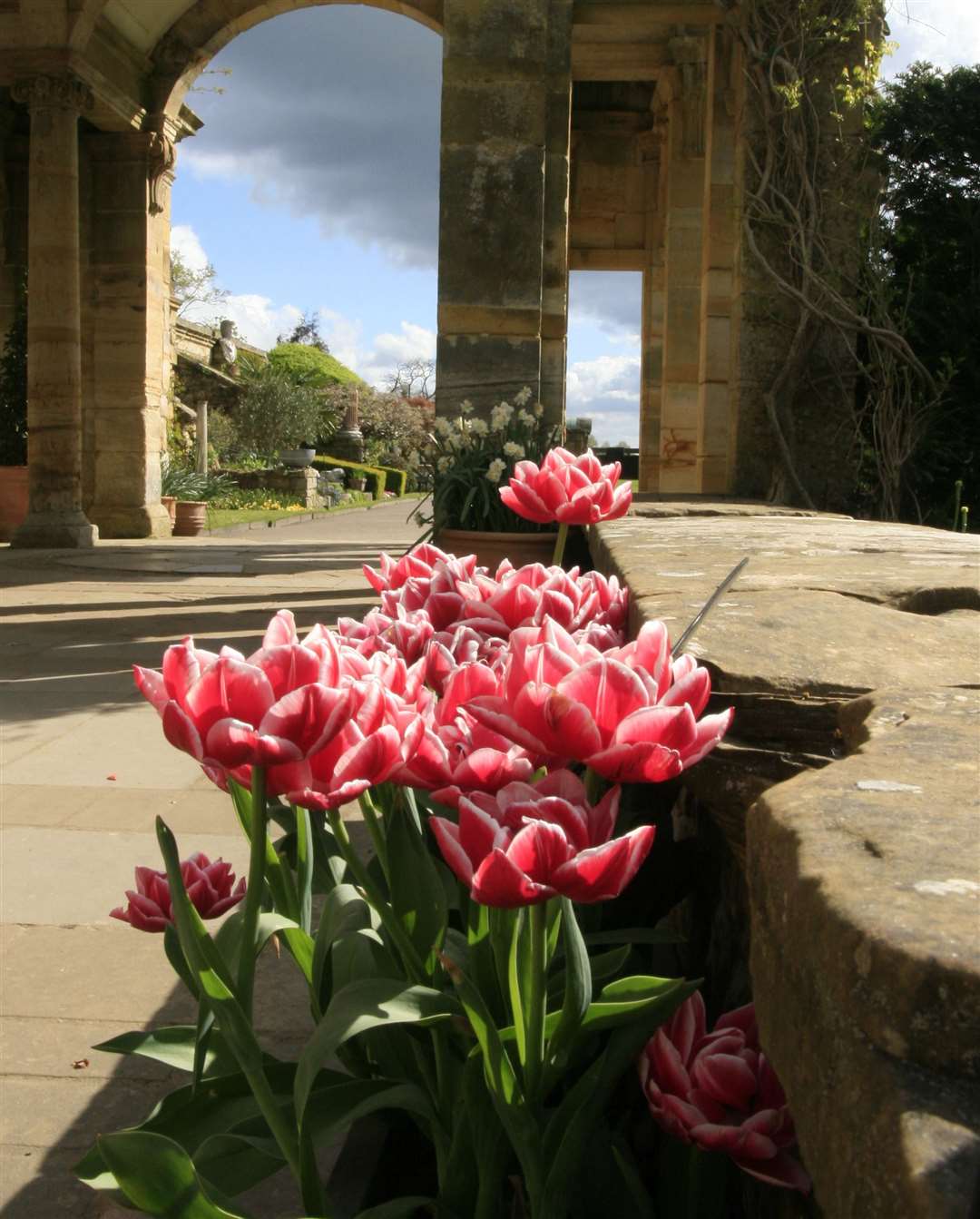 Tulips are all around the gardens at Hever Castle