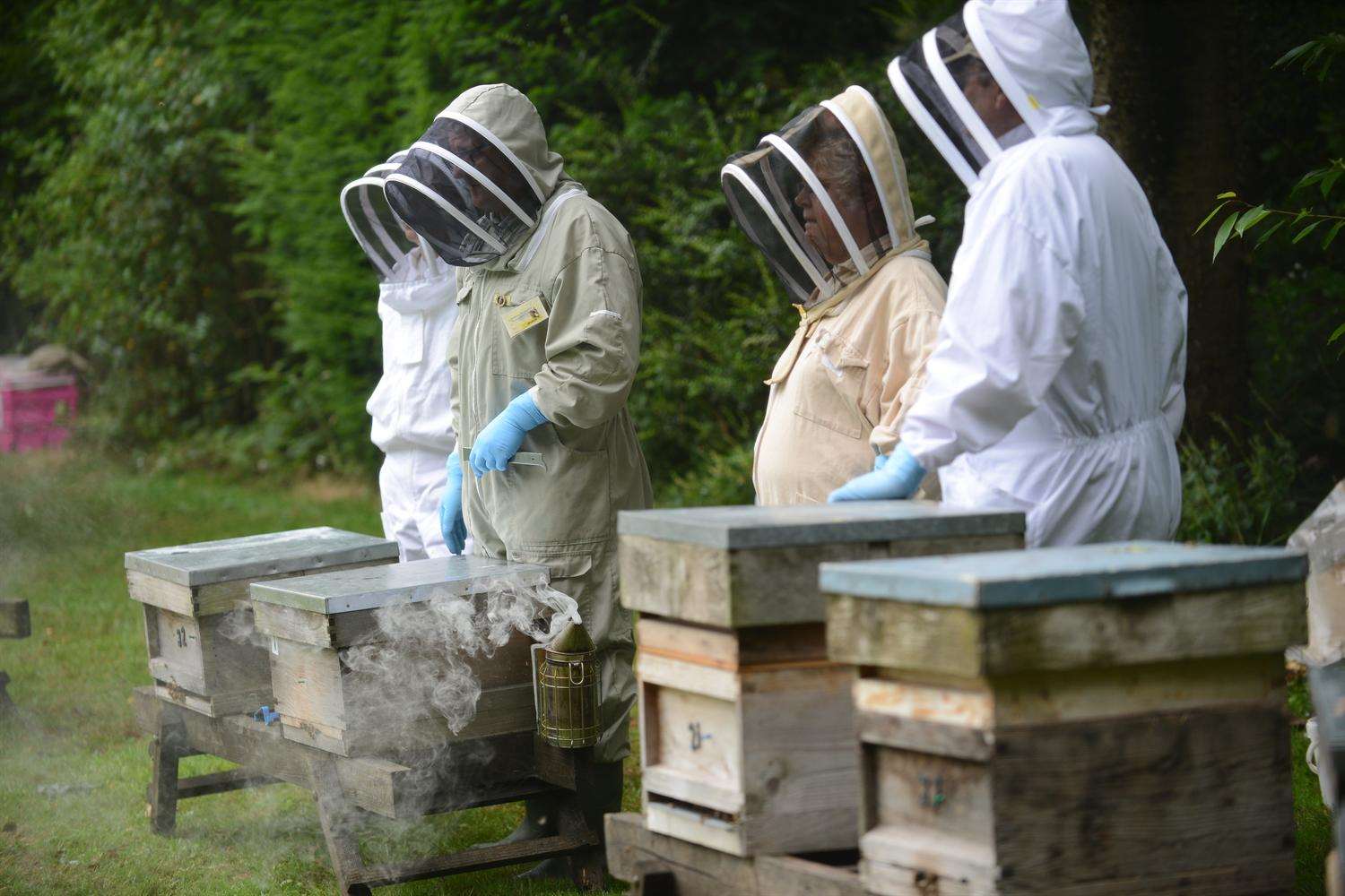 The Bee Keepers of Kent at last year's show