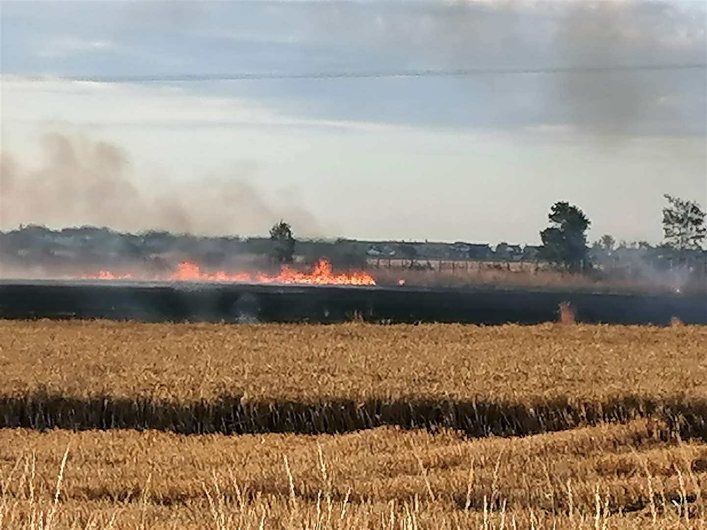 The crop fire near Birchington yesterday. Picture: Manston Matthew