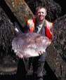 James Pepper at Sheerness Docks with the sunfish he discovered there