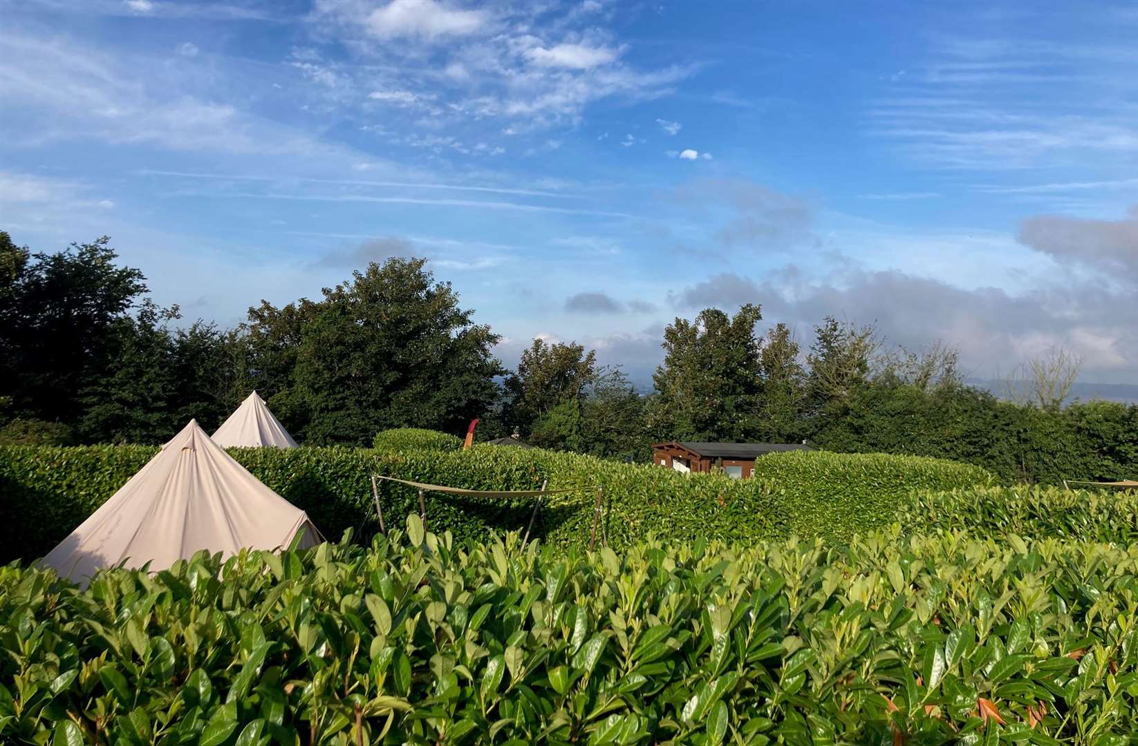 We woke to beautiful blue skies as we emerged from our shepherds hut