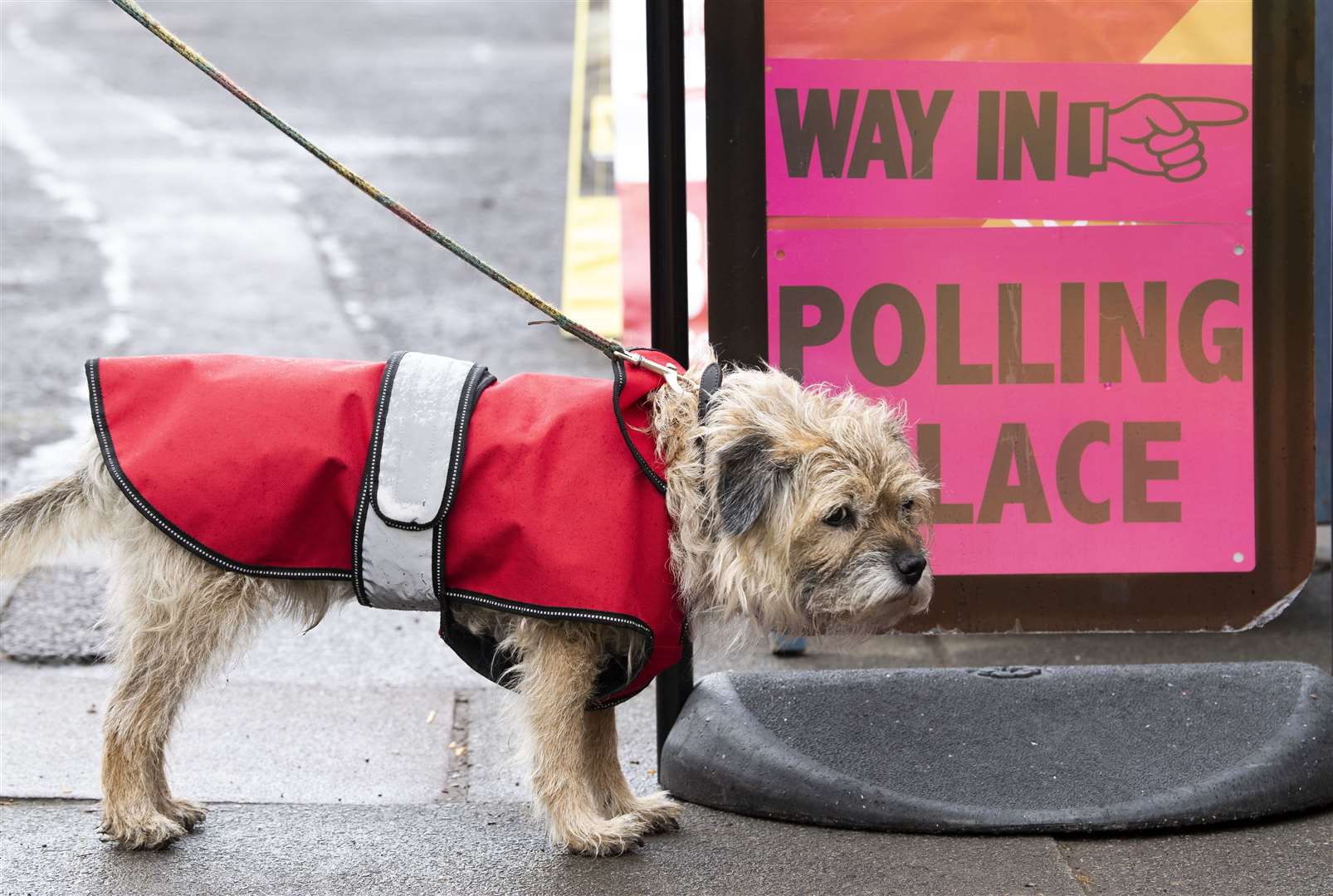 Bertie waits for his owner who is queuing at the polling station at Saint Stephen’s Comely Bank Church (Lesley Martin/PA)