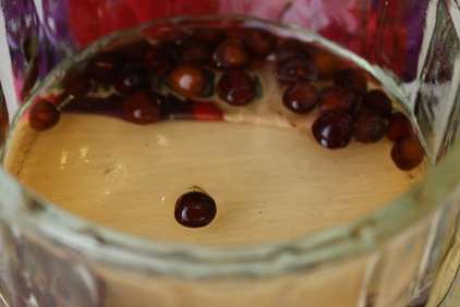 Soaking sweet pea seeds