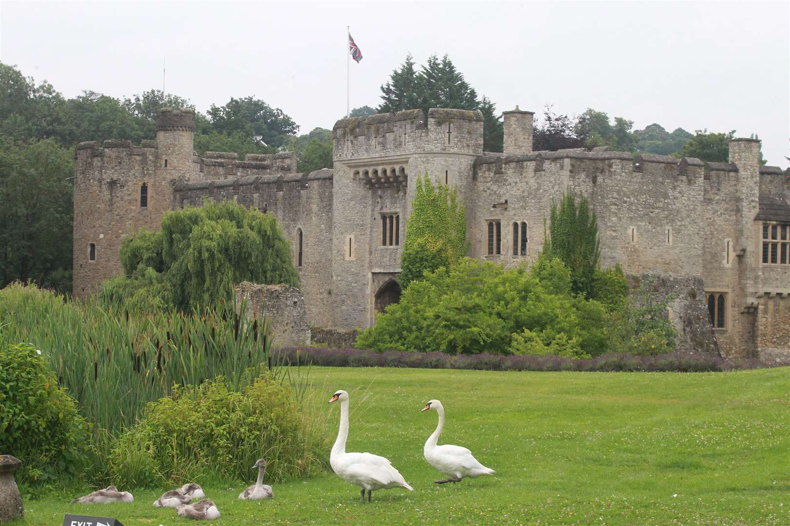 Allington Castle is largely obscured from public view. Picture: John Westhrop