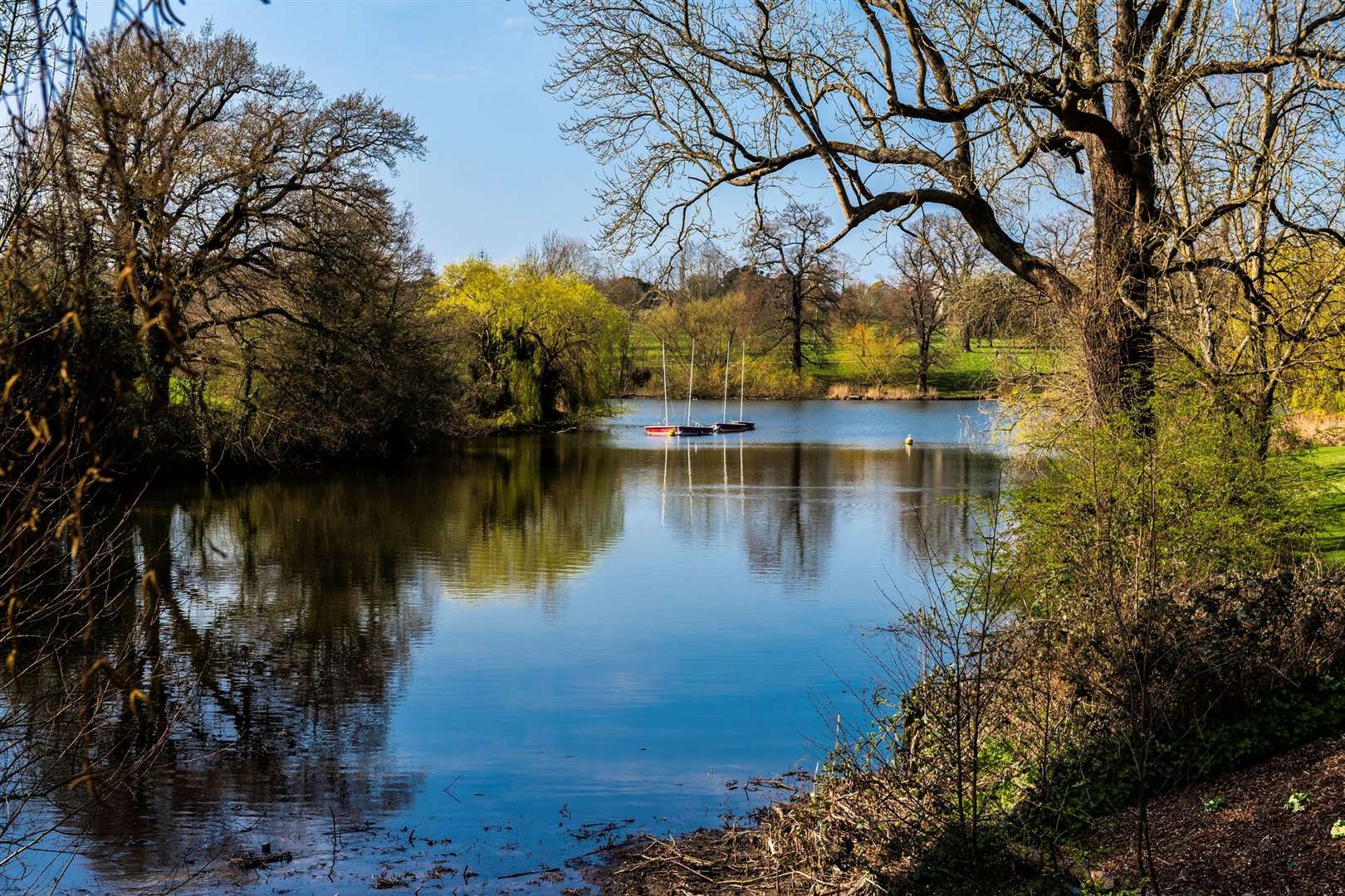 The lake in Mote Park