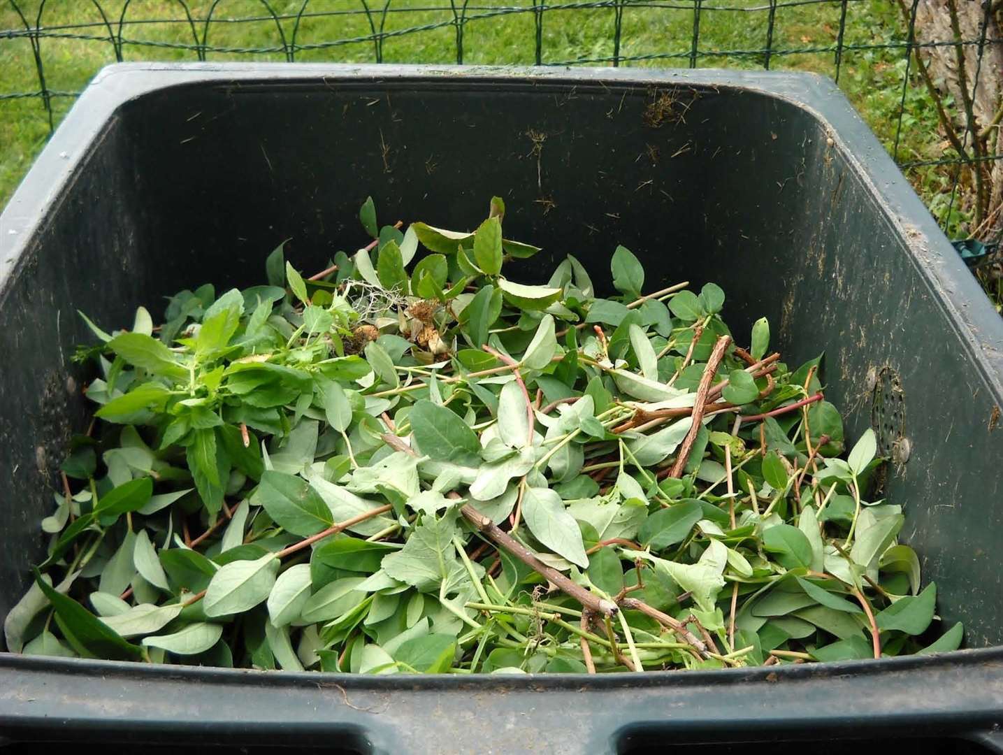 People will have to pay more for their garden waste collection in Tonbridge and Malling