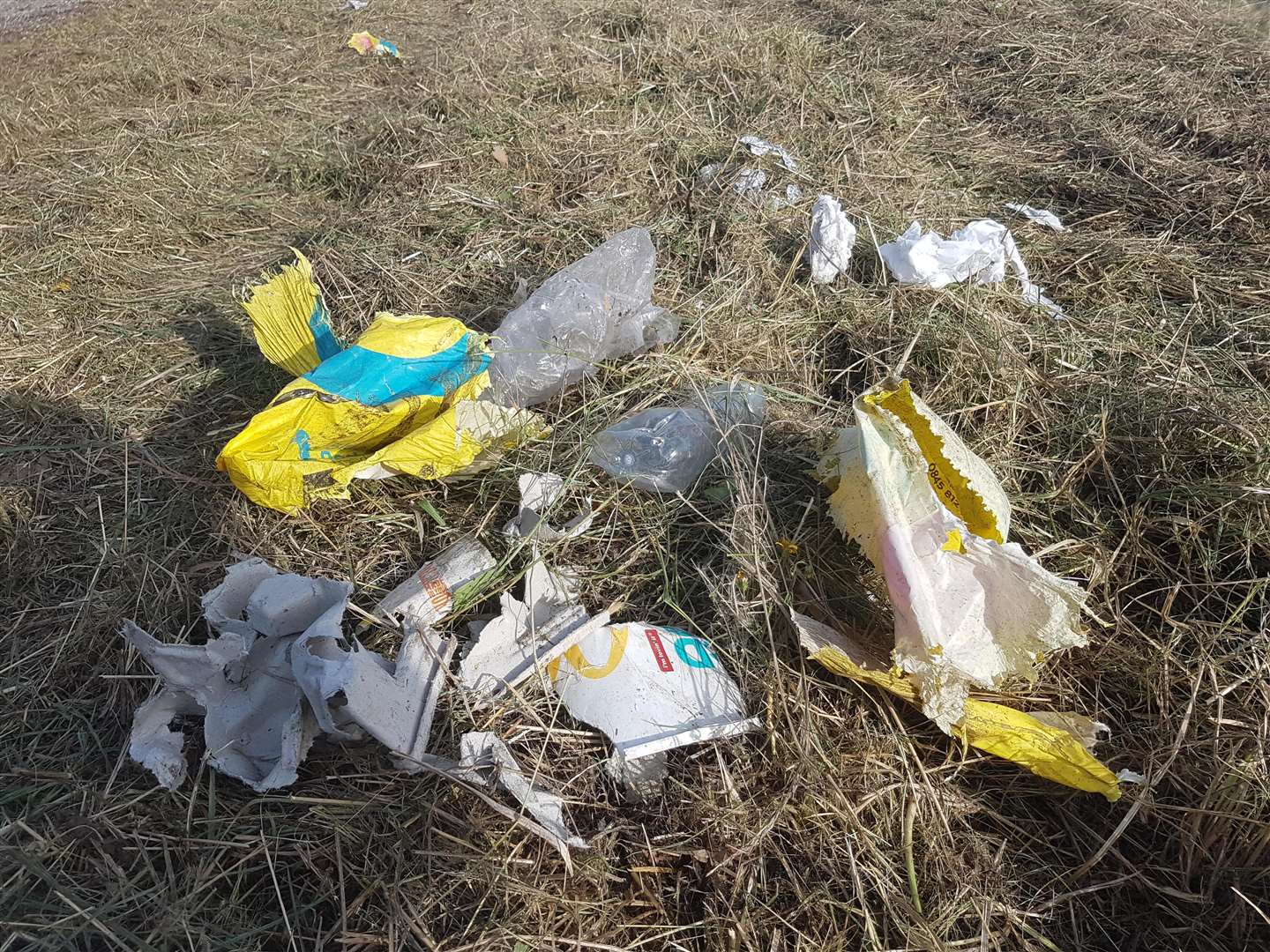 The city council picks up the litter after the verges have been cut to save time and money