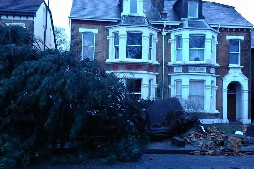 A tree narrowly avoided a house in Pelham Road, Gravesend
