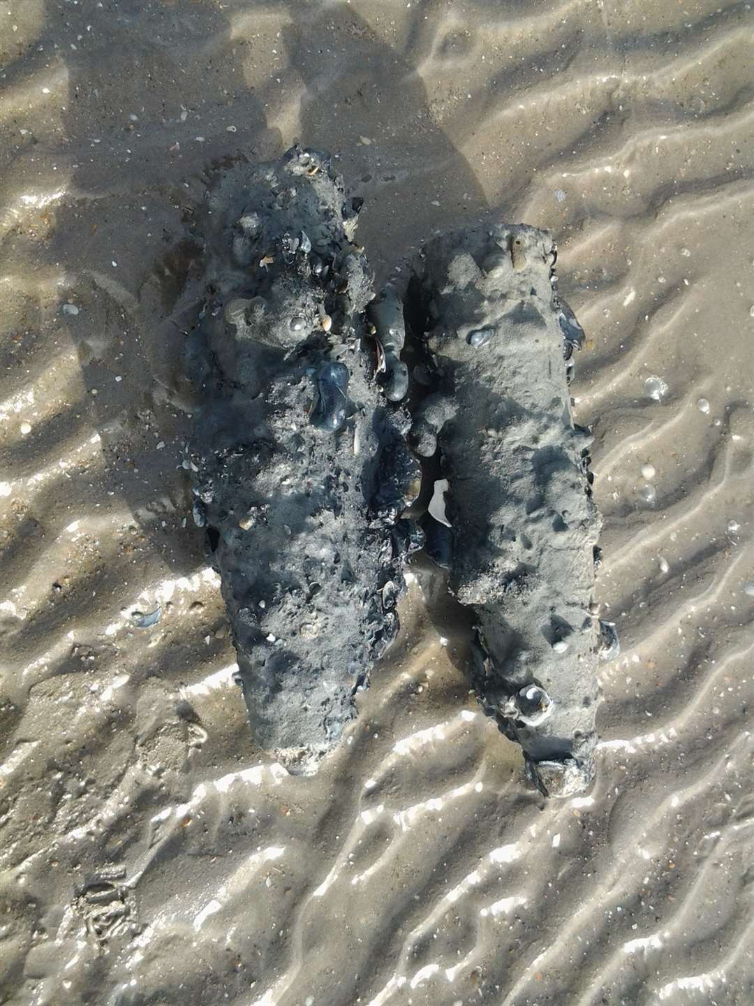 A total of five shells were found on Sandwich Bay. Picture: Tony Ovenden