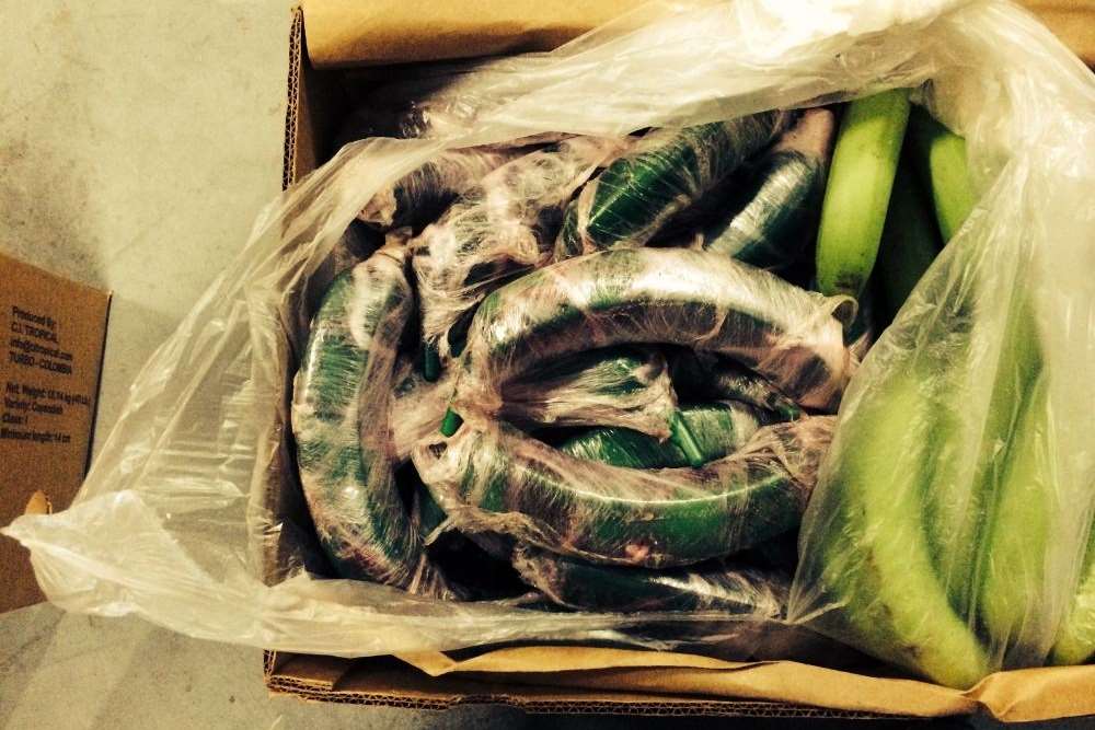 The fake bananas seized by police