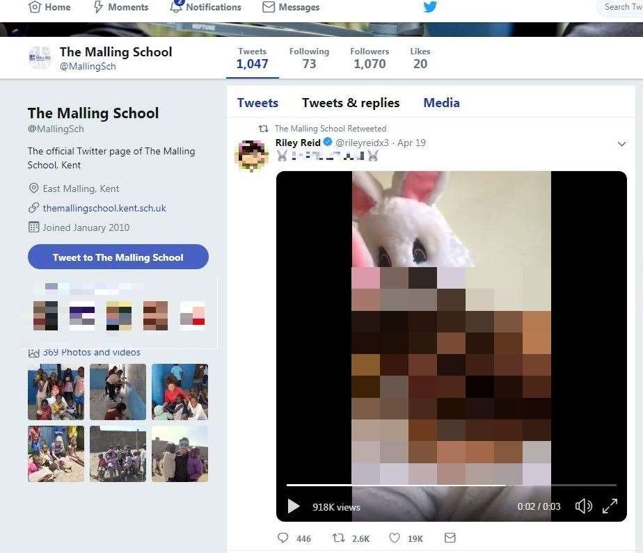 924px x 795px - The Malling School left red-faced after retweeting pornographic video  featuring Easter Bunny