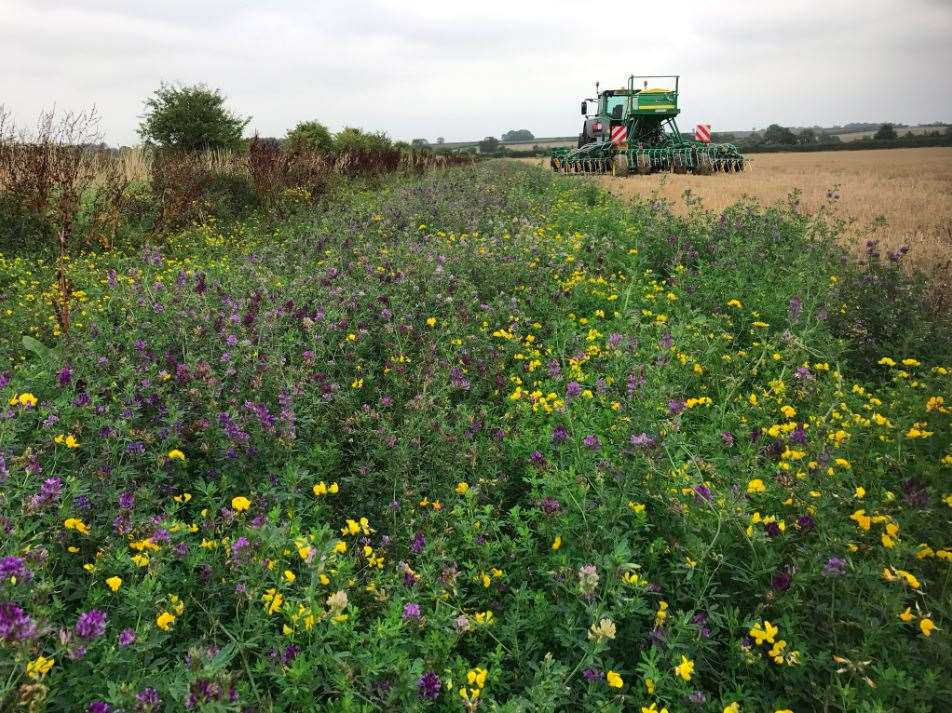 The ELMS scheme also incentivises sustainable farming and local nature recovery (NFFN/PA)