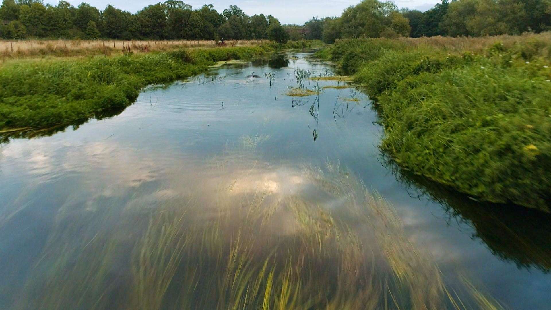 Multiple locations of the Stour were searched by the River Hunters team