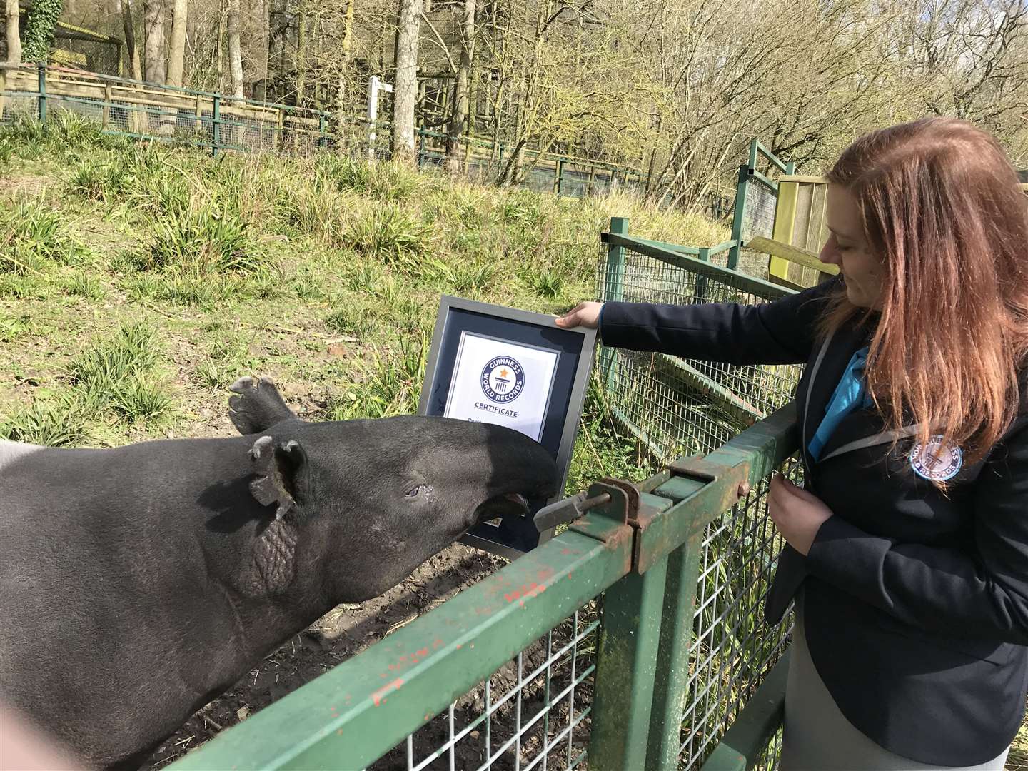 Kingut receives his certificate from GWR. Picture: Guinness World Records