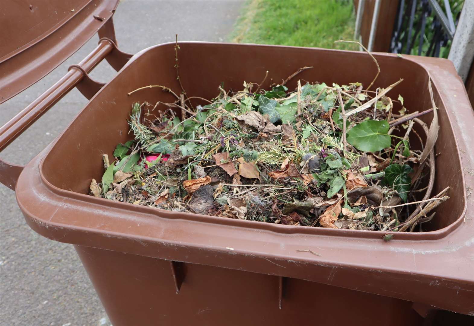 Garden waste collections to resume in Tonbridge and Malling, and