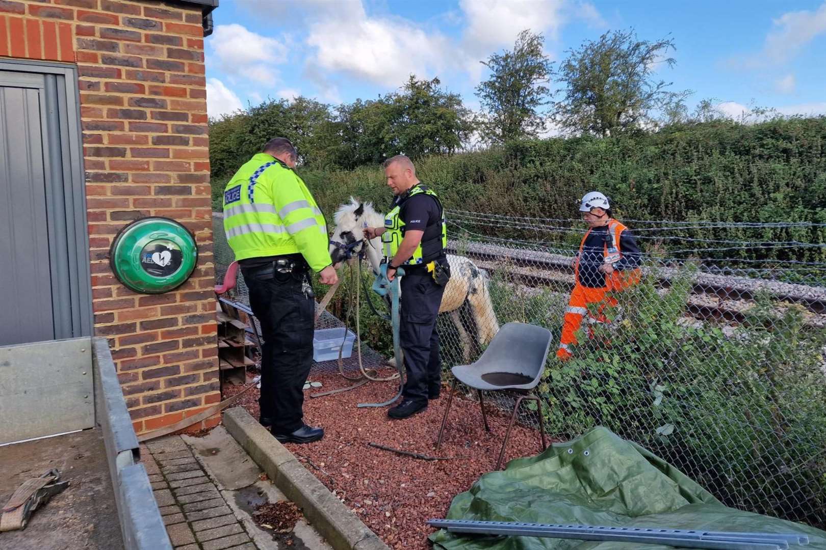 British Transport Police were called to rescue a horse on a train line near Hoo. Picture: British Transport Police