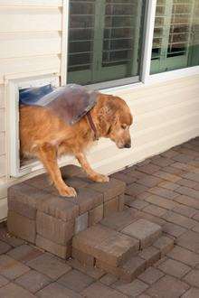 Dog flap