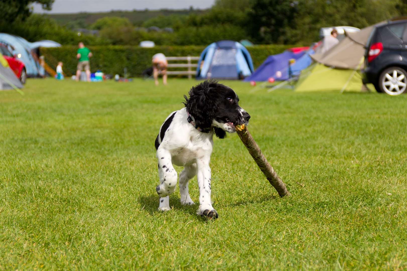 All the family can join in with camping