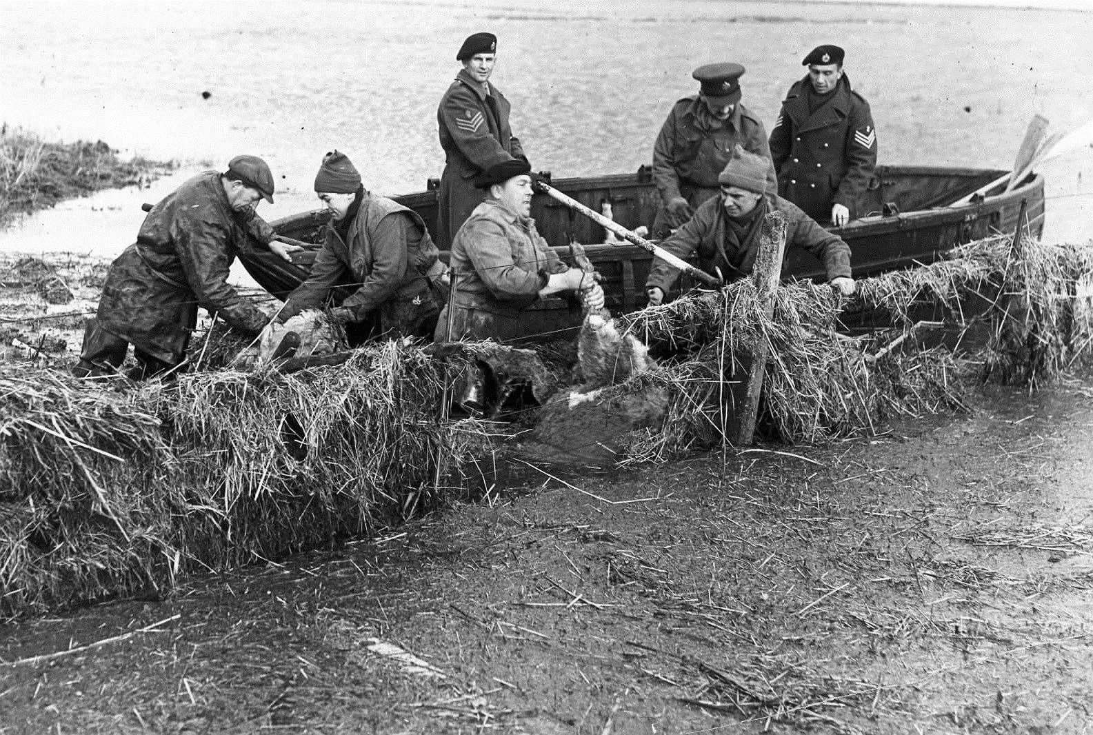 Royal Engineers from Chatham were given the grisly task of recovering dead livestock