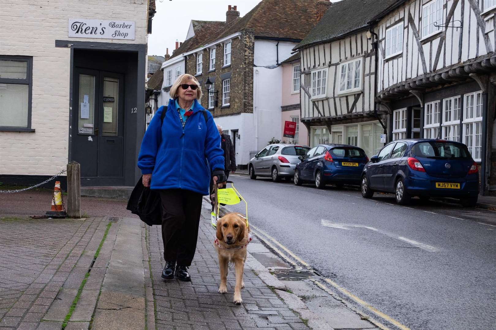Patricia Poole, from Ash, was walking with her guide dog when they were lunged at by a Doberman
