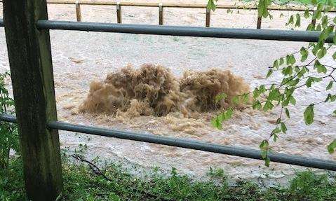 Sewage leak at Mote Park