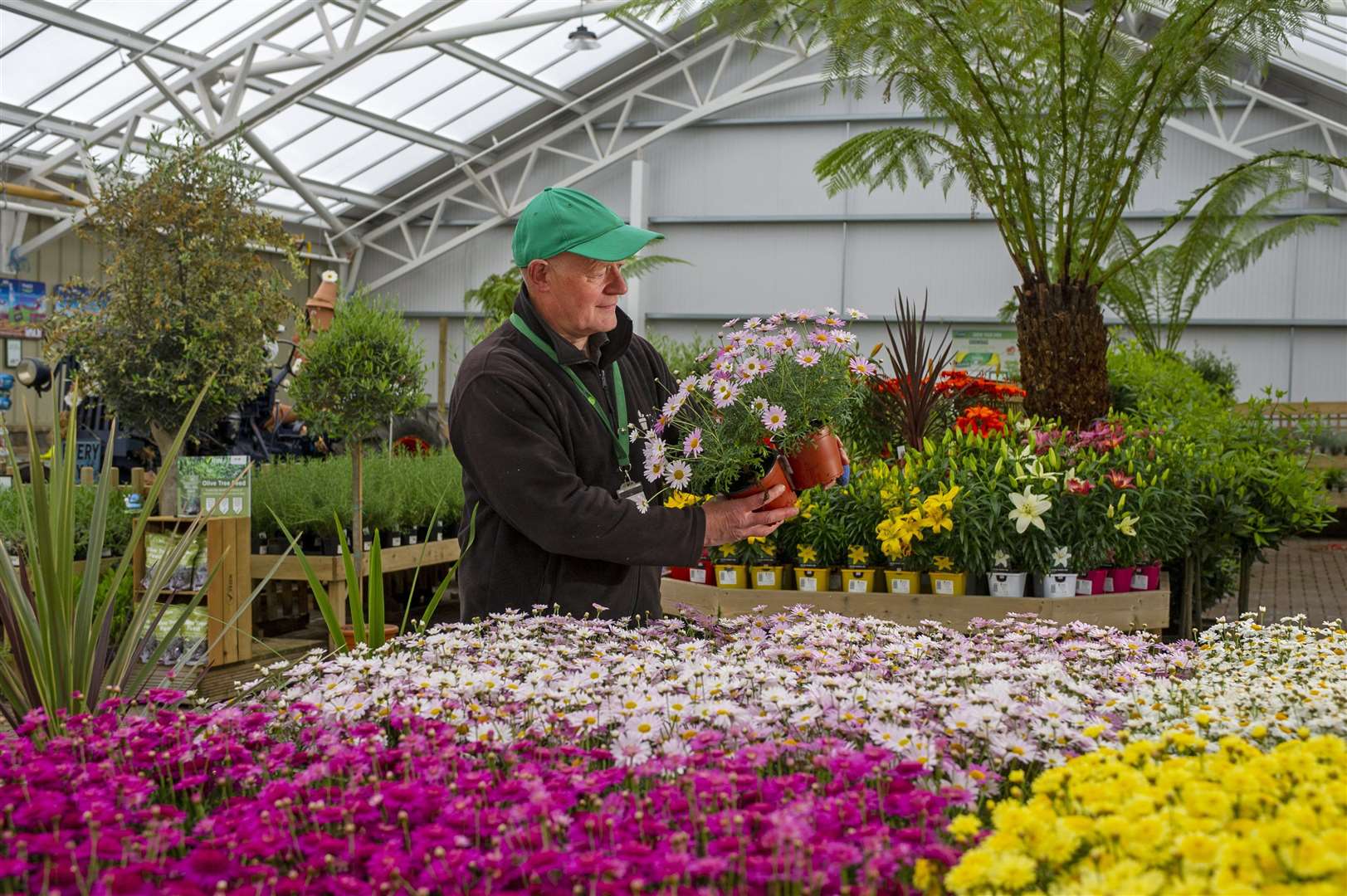 GREEN FOR GO: Joe Appleyard, plant supervisor at Tong Garden Centre in Bradford.