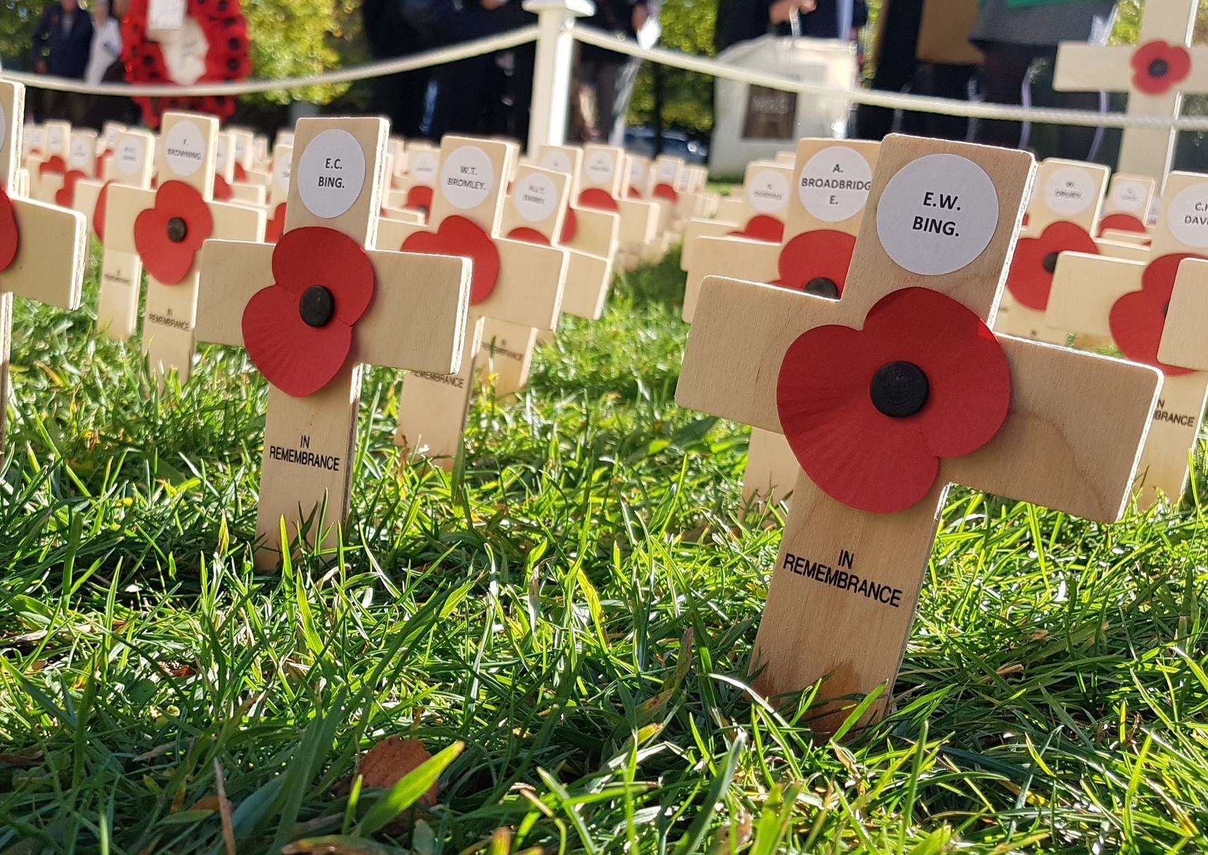 Canterbury Cathedral poppy display honours World War One Armistice ...