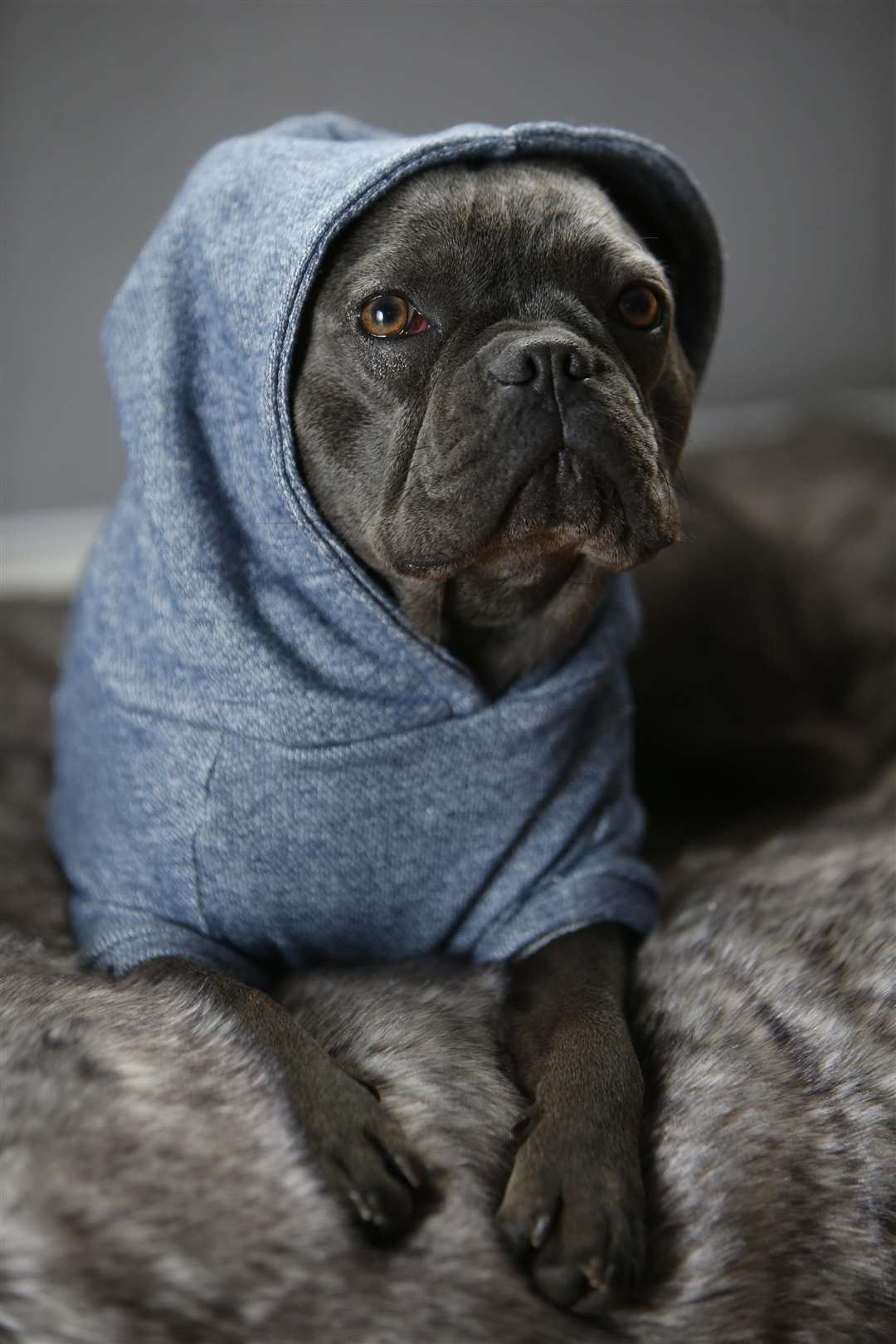 A fetching hoodie