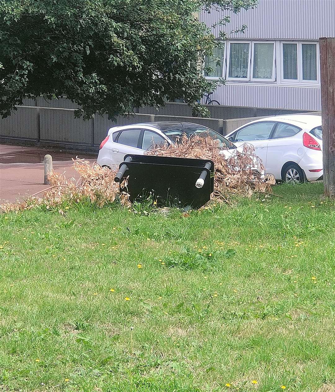 A TV stand and tree cuttings near the 82-year-old property.