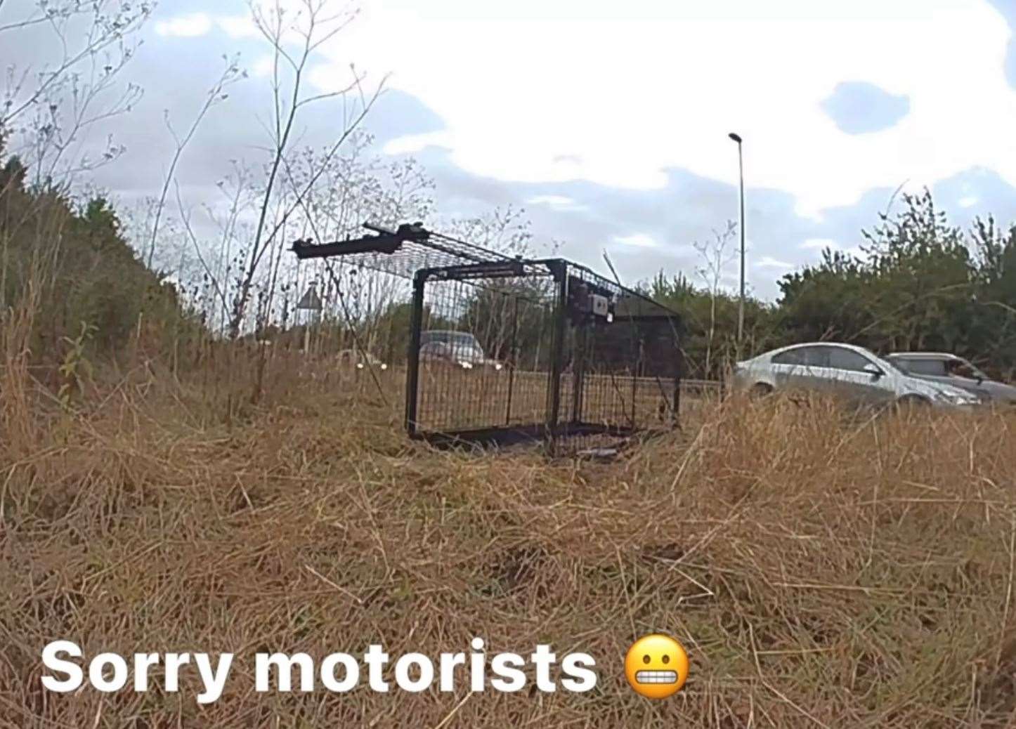 The trap can be seen with the motorway in the background. Picture: Nicki Scriven