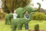 The lifesize green elephants