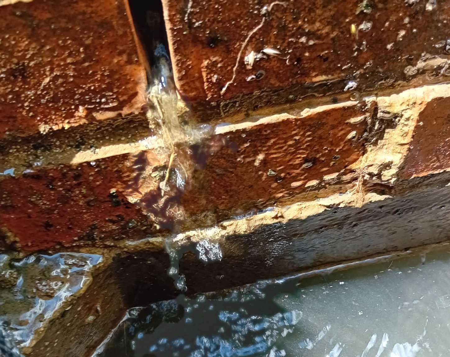 Water also comes through a crack in the brickwork in the drainage system. Picture: Vikki Storey