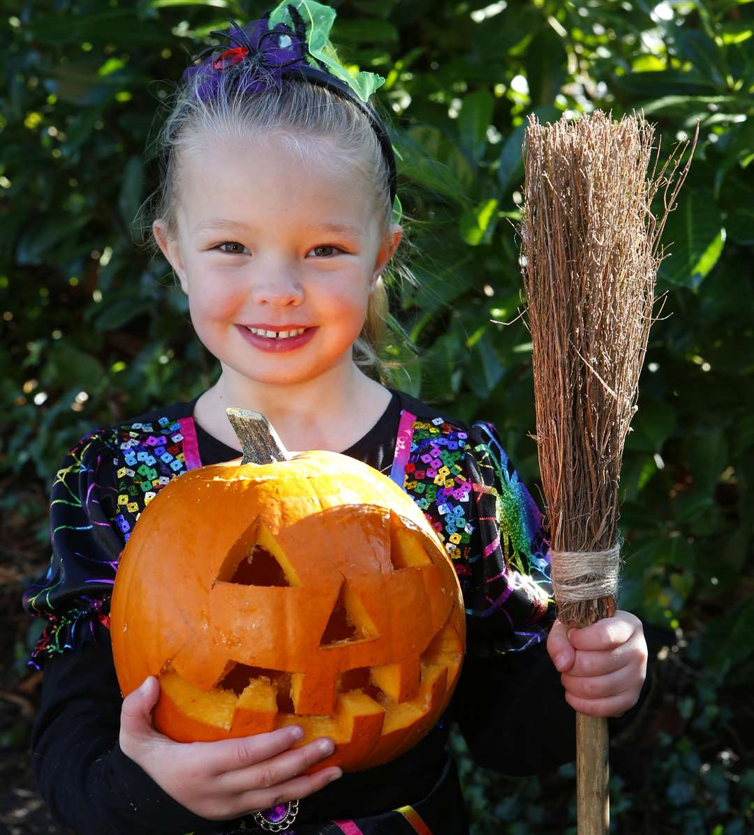 Pumpkin Halloween pictures round-up with Demelza and Shepway Chariots