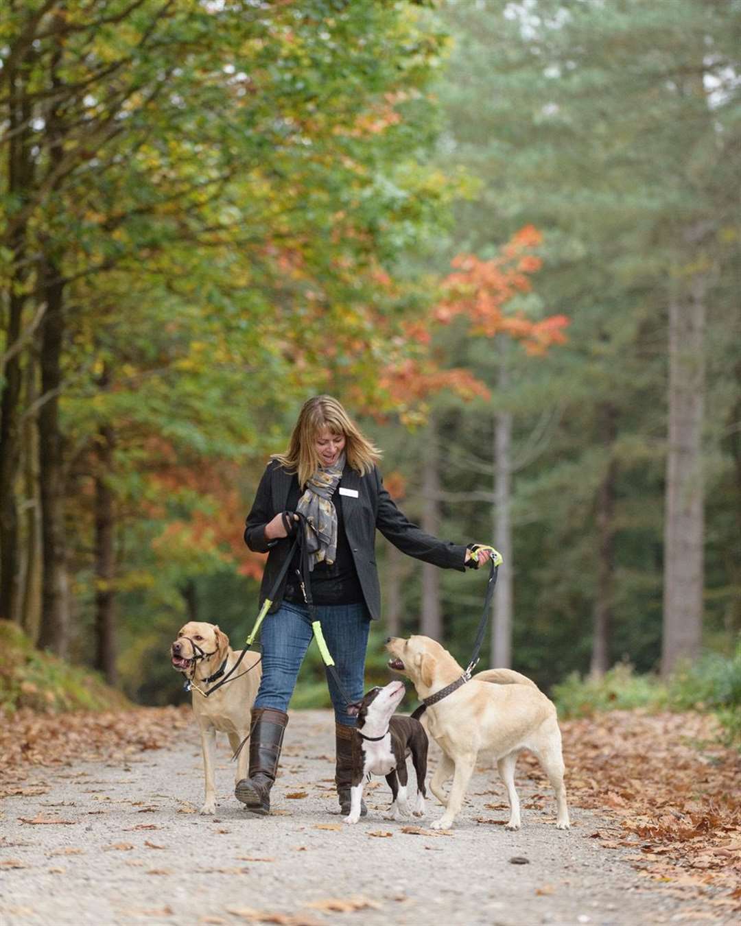 Hypo Hounds trains diabetic alert dogs which can detect dangerous changes in their owner's blood sugar