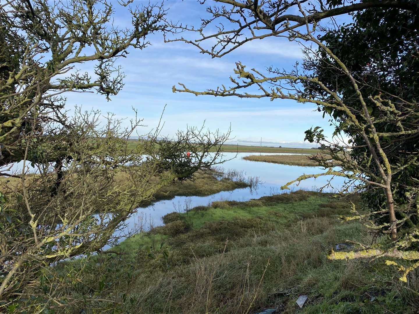 Although the route is partially through the town centre you do run see marshland views along Faversham Creek