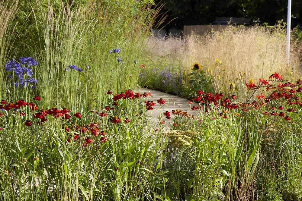 Perennial Sanctuary Garden by Tom Massey. Image ©Britt Willoughby Dyer