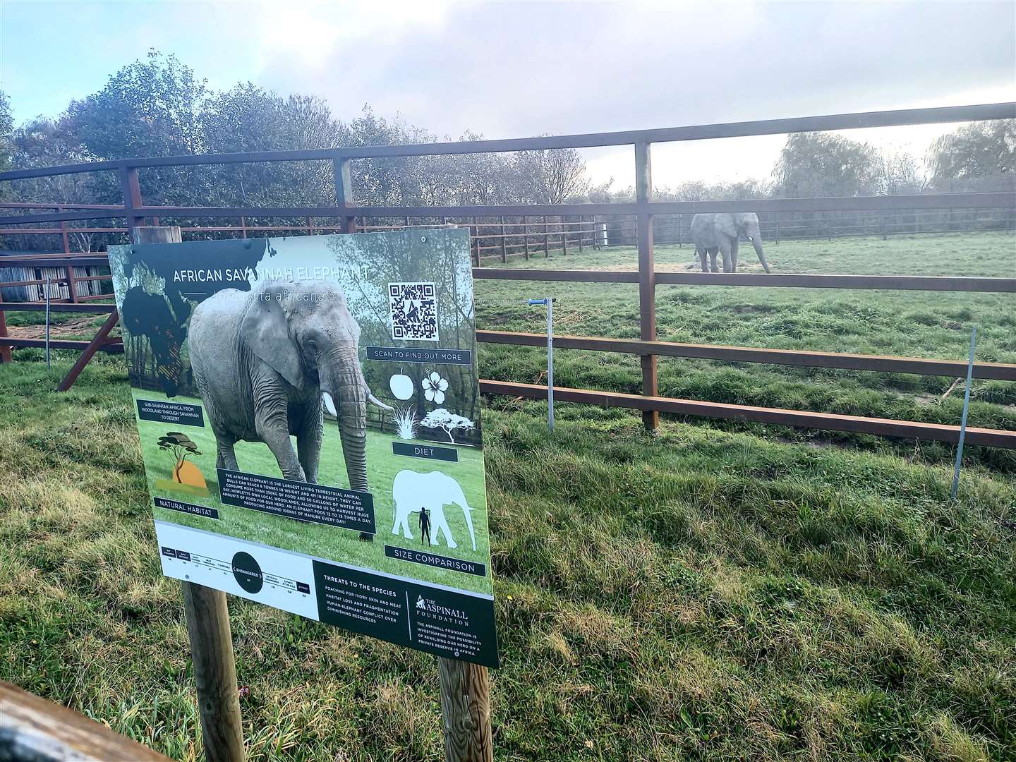 Concerns over the herd's welfare out in Kenya have been raised