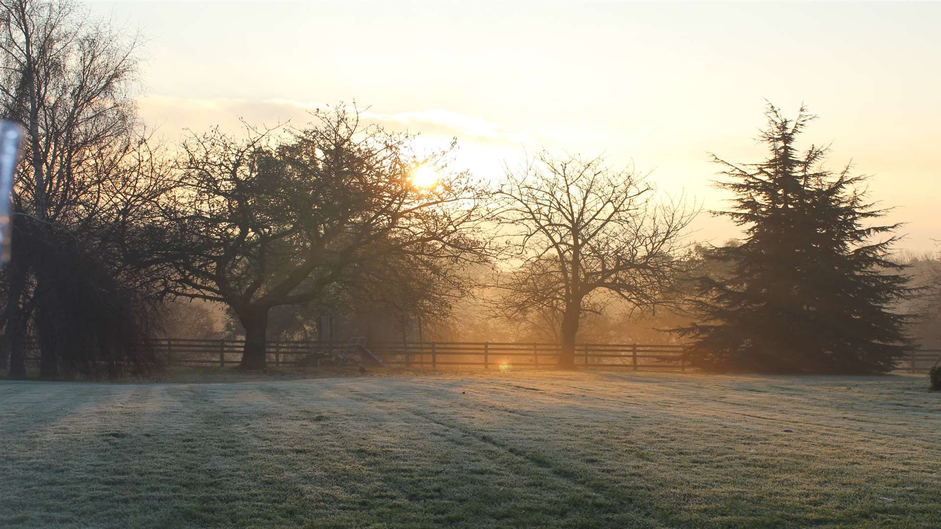 Gardening in January