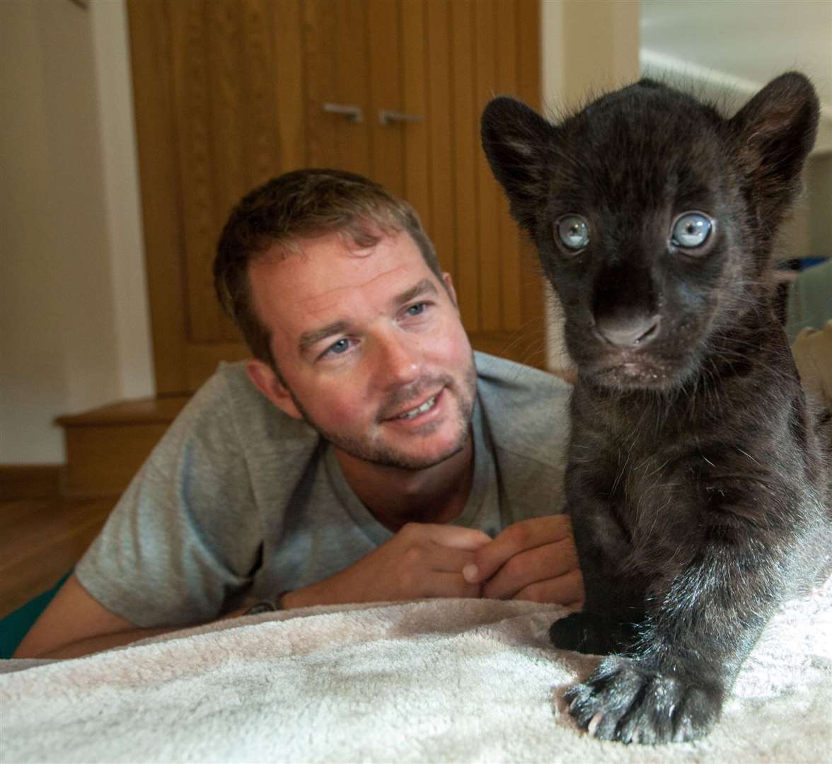 Giles Clark with Maya the Jaguar when she was a cub in Big Cats About the House Picture: Stefania Buonajuti