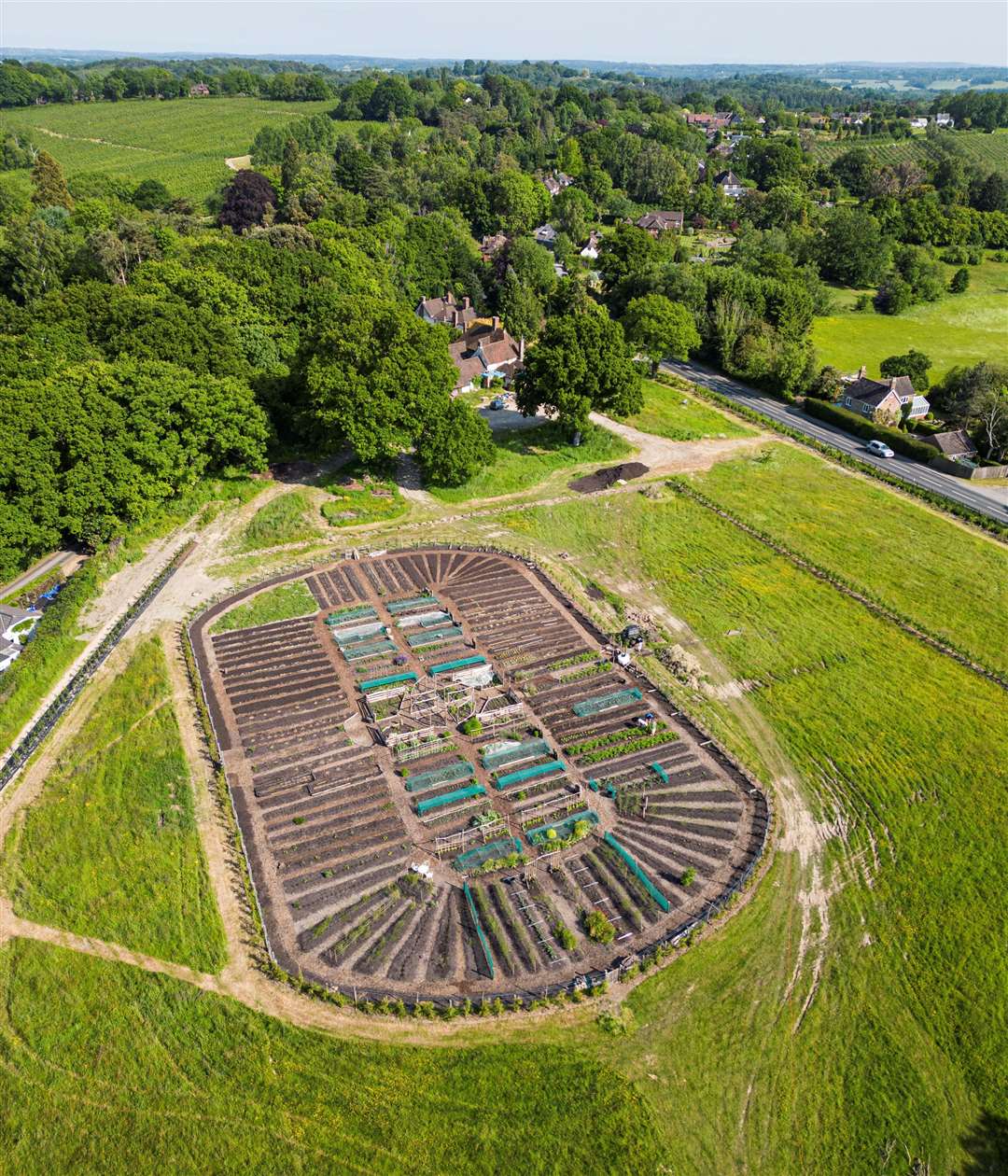 The pub's kitchen garden