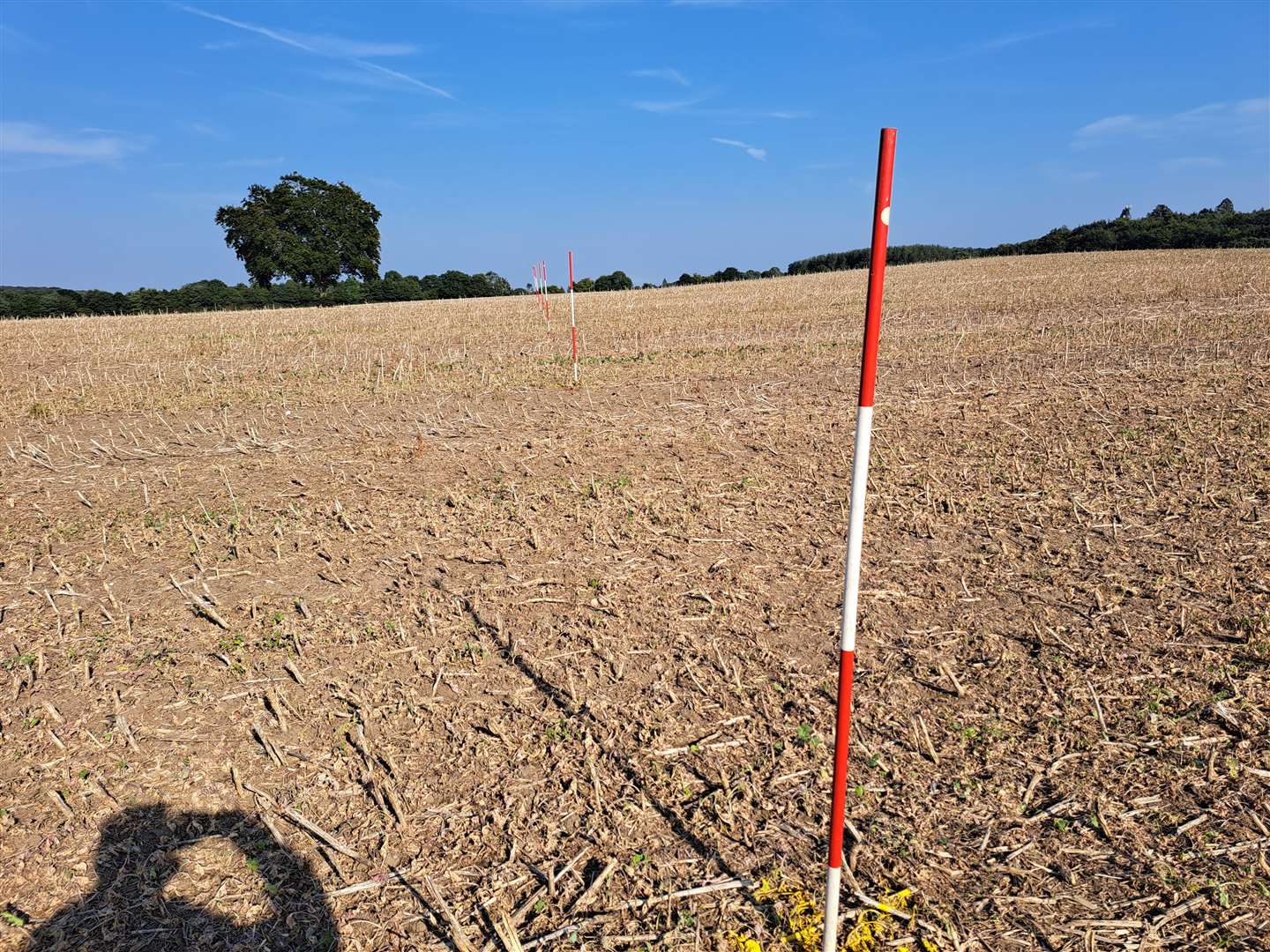 A line of poles mark the path taken by the V2 rocket at Westerham on its journey of destruction